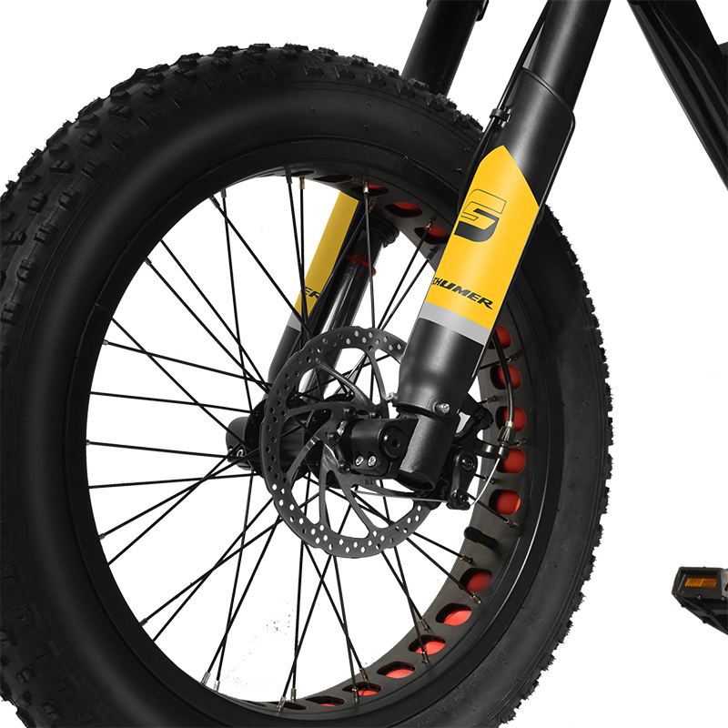 Powerful 500W 48V Electric Fat Tire Bike 20" Mountain Battery Double Shoulder Shock Fork Electric Dirt Bike Lithium Battery