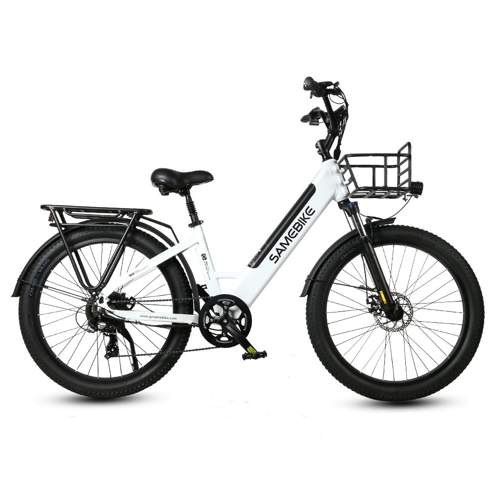 Factory Directly OEM 26inch Lady Electric City Bike 7 Speed 48V 2 Seat City ebike 750W Electric Bicycle
