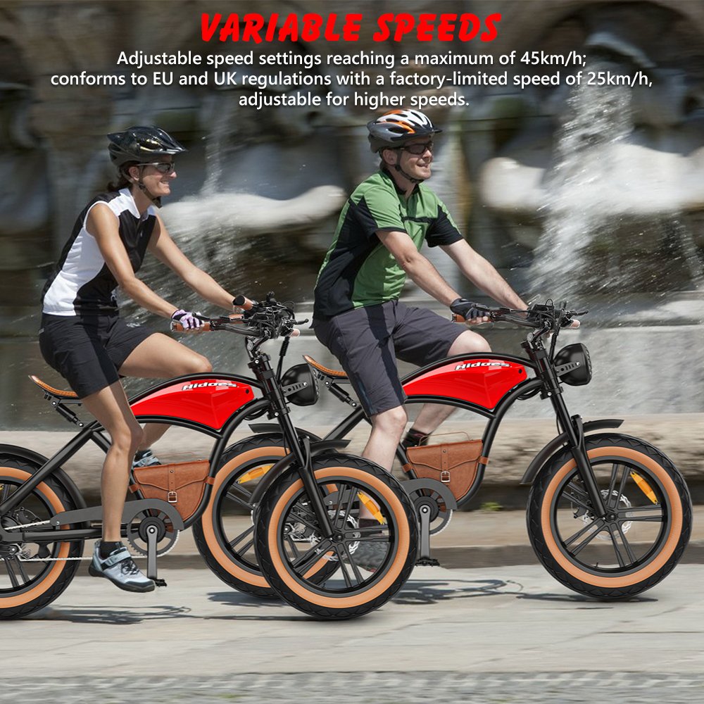 Hidoes B10 Emtb Retro 48v Electric Hybrid Bike Good Quality 1000w Bicycle with Lithium Battery Tube Position UK US EU Warehouse