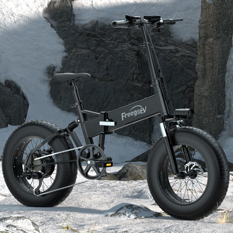Full Suspension 20inch Cheap Sport Mountain Ebike Snow Ebike 1000W power electric mountain bike