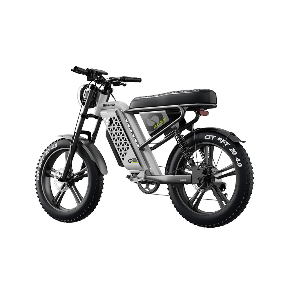 CLIPCLOP L1 Adult Fatbike 1000W 20Inch Dirt Fat Tire E-Bike City Hybrid 48V15AH Long Range Ebike Bicycle Electric Mountain Bike