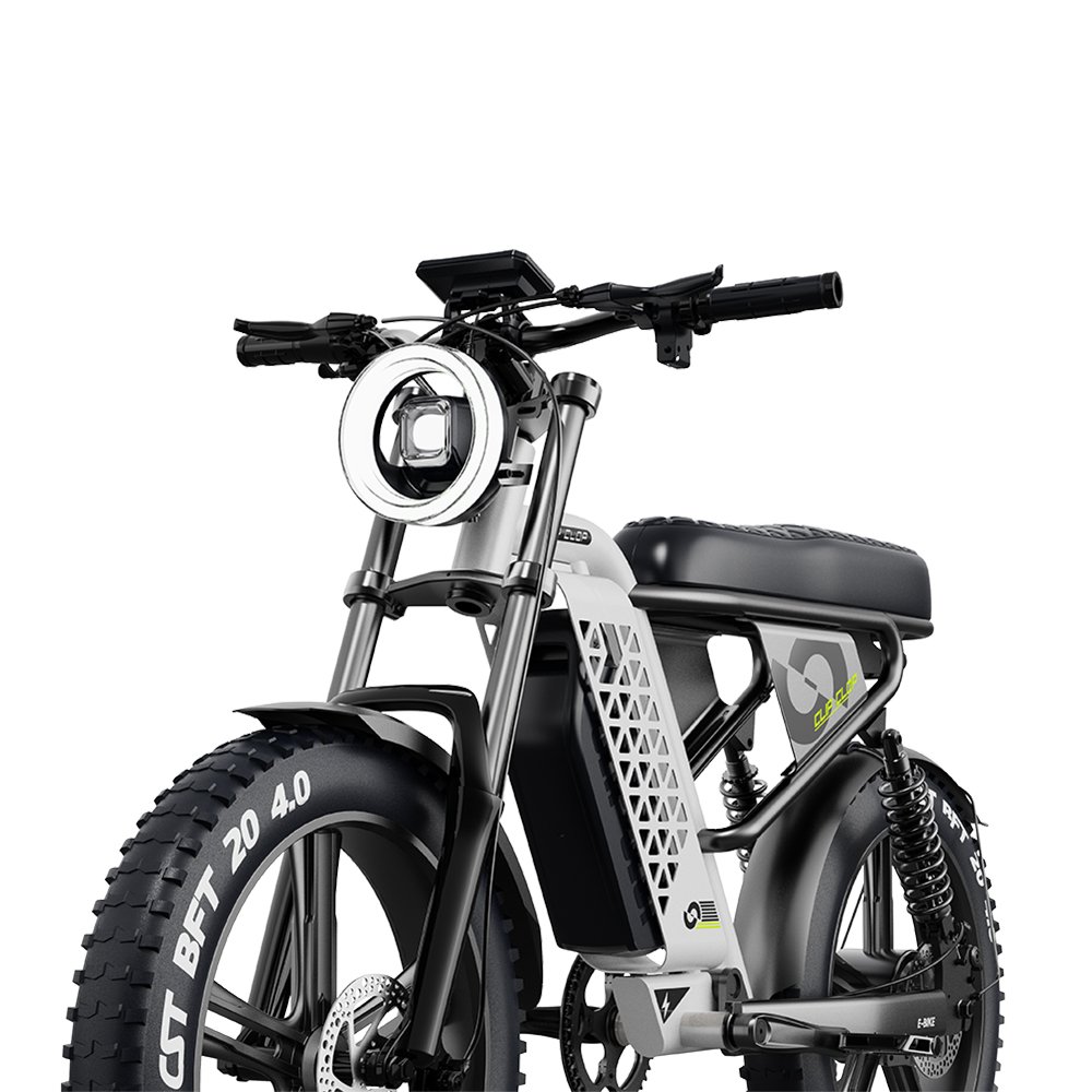 CLIPCLOP L1 Adult Fatbike 1000W 20Inch Dirt Fat Tire E-Bike City Hybrid 48V15AH Long Range Ebike Bicycle Electric Mountain Bike