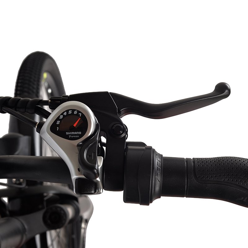 Factory Direct Sales Urban Road Recreation E Bike 48V 250W 10A Electric Mountain Bike