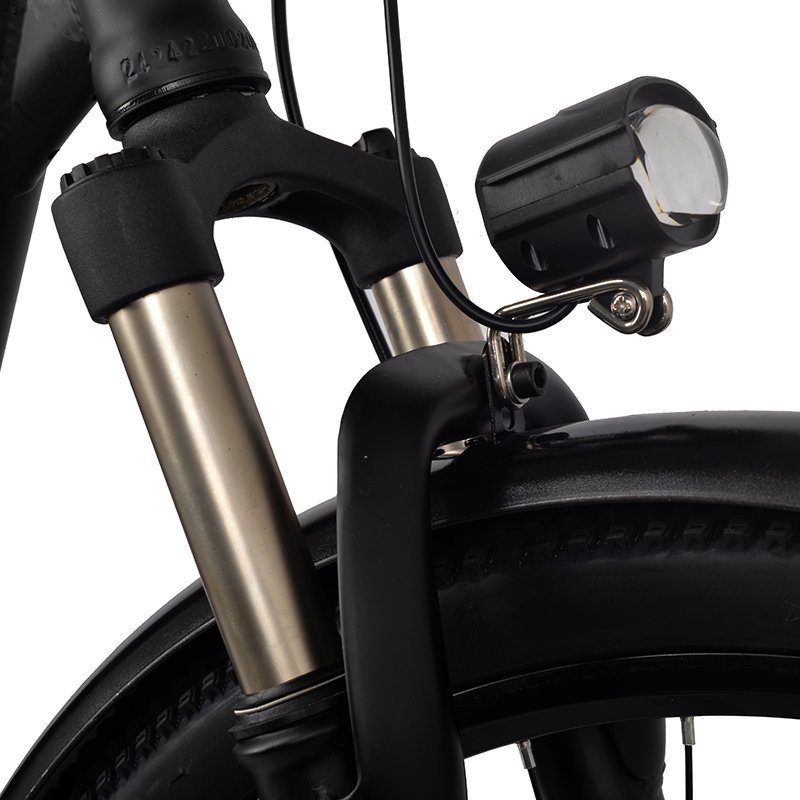 Factory Direct Sales Urban Road Recreation E Bike 48V 250W 10A Electric Mountain Bike