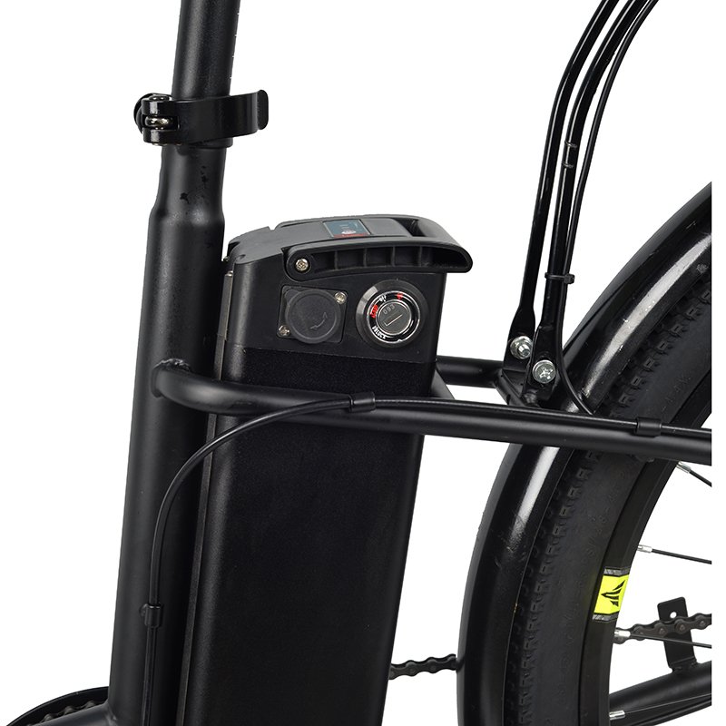 Factory Direct Sales Urban Road Recreation E Bike 48V 250W 10A Electric Mountain Bike