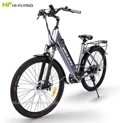36V 350W Brushless Rear Hub Motor
