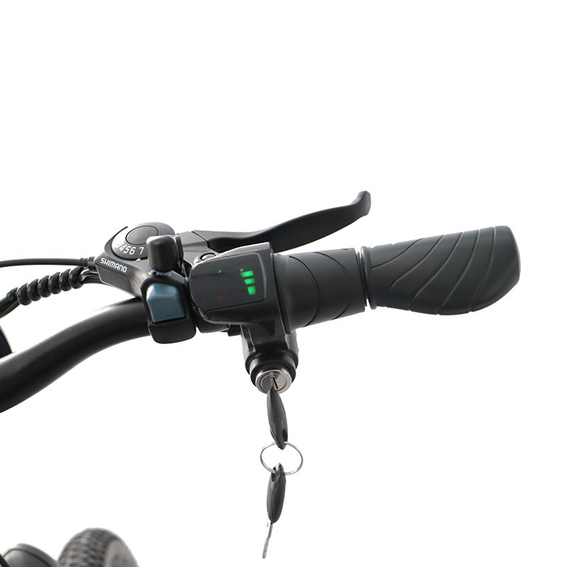 2024 New Arrival 350W Electric Bike 36V 10Ah Li Battery Suspension Fork Electric Mountain bike