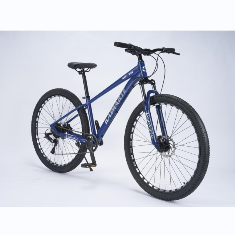 Bicicletas mountain bike 29 inch cycle carbon steel frame mountain bike mtb bicycle 29'' Mountain bikes