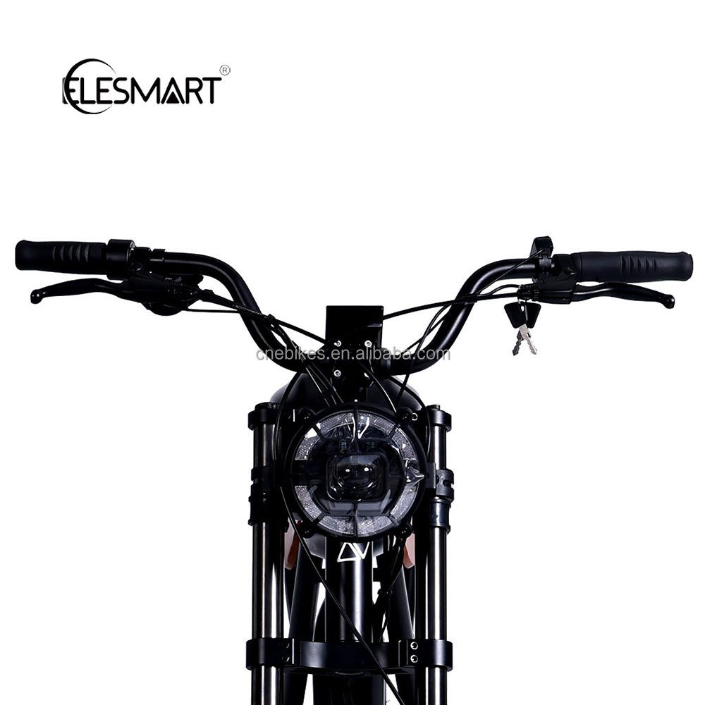 Elesmart New Style Ebike Big Motor Power Mountain E-bike Beach Cruiser 48V 500/750w/1000w Electric Vintage Bike