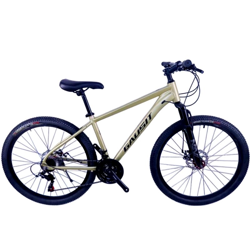 Hot Sale Mountain Cycles Best Road Bike Shop Mtb Cycling Bicycle Motor Bicycle Handlebar Bicycle Mtb For Sale In China