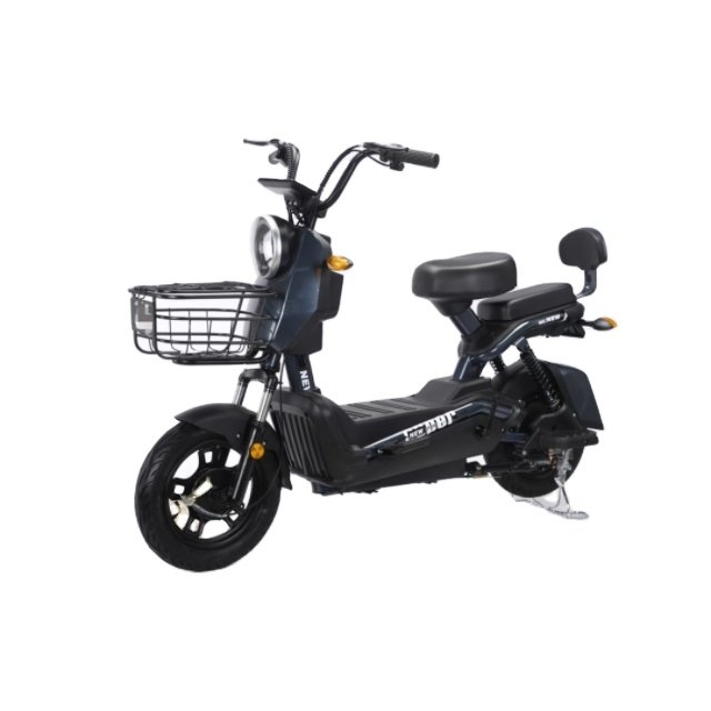 Hybrid Electric Bike 48V Electric Mountain Bike with 3 Speed Gears 60km Range per Power 50km Distance