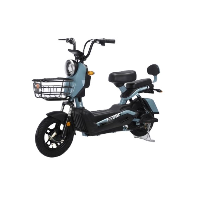 Hybrid Electric Bike 48V Electric Mountain Bike with 3 Speed Gears 60km Range per Power 50km Distance