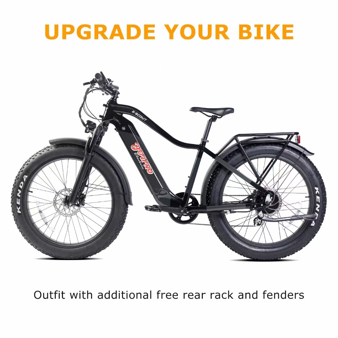Electrical Fat Tyre Mountain Electric Bike Front Wheel E Bike Electric Bicycle