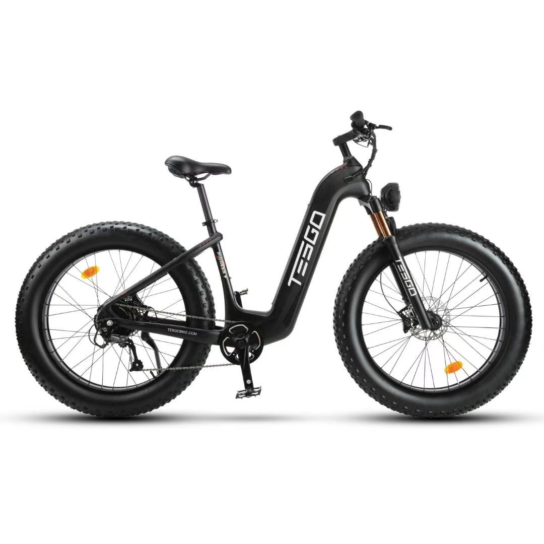 Electrical Fat Tyre Mountain Electric Bike Front Wheel E Bike Electric Bicycle