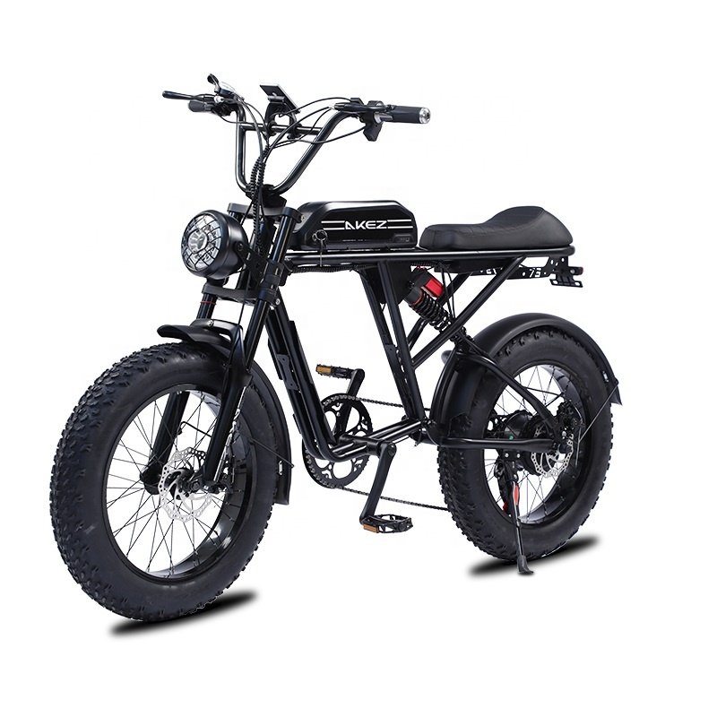 USA 20" Fat Bike Dual Battery Off Road Ebike Full Suspension Fat Tire Electric Motor Hybrid Mountain E Bike Bicycle Eu Warehouse