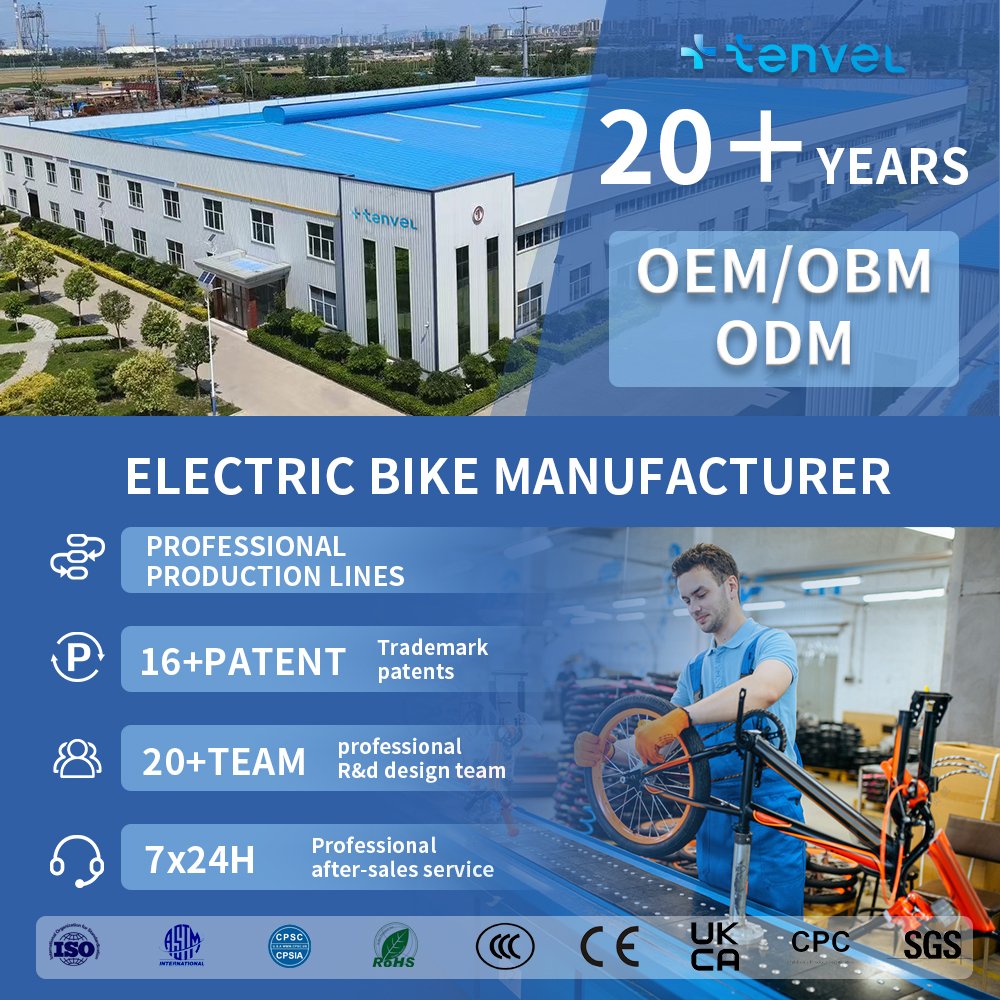 2024 Factory Direct Sale Wholesale Ladies Electric 350W Motor 48V Electric Bicycle E-Bike Adult Motorcycle City Electric Bike