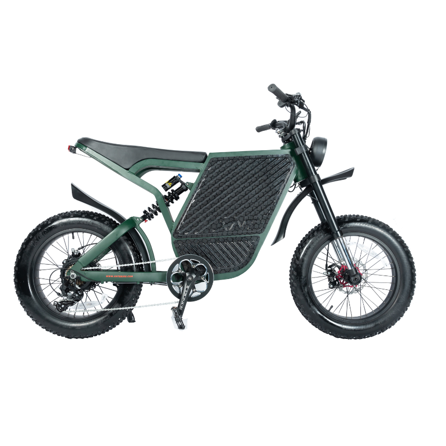 52V 2000W Electric Motor cycle Powerful Fat tire bike for sale