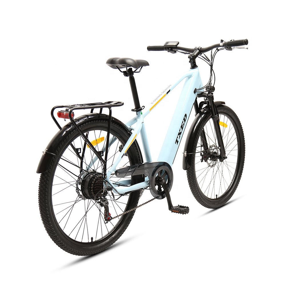 TXED Mountain Style Full Suspension City E-bike 250W motor green cheap for male electric city bike