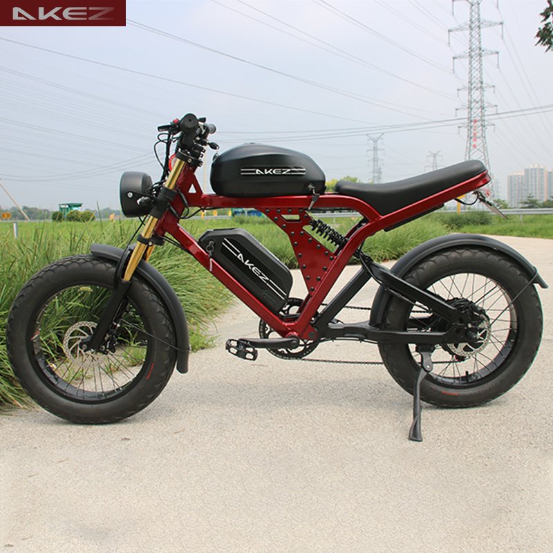 China Wholesale 20-Inch Fat Tire E-Bike Mountain Electric Hybrid Dirt Bike Beach Cruiser for Hunting