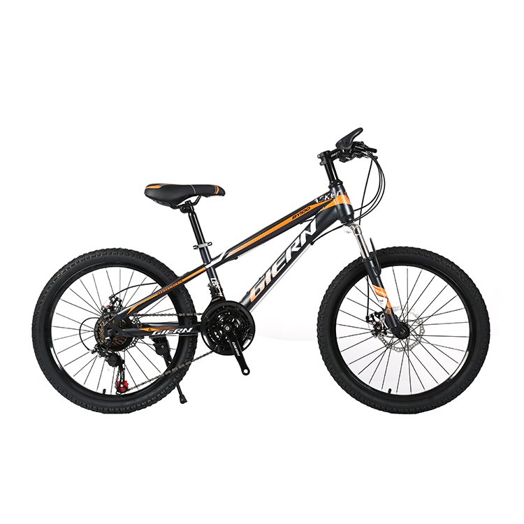 hot sale 20 inch 21 speed mountain bicycle sports road bike fat tyre cycle mountain bikes for men