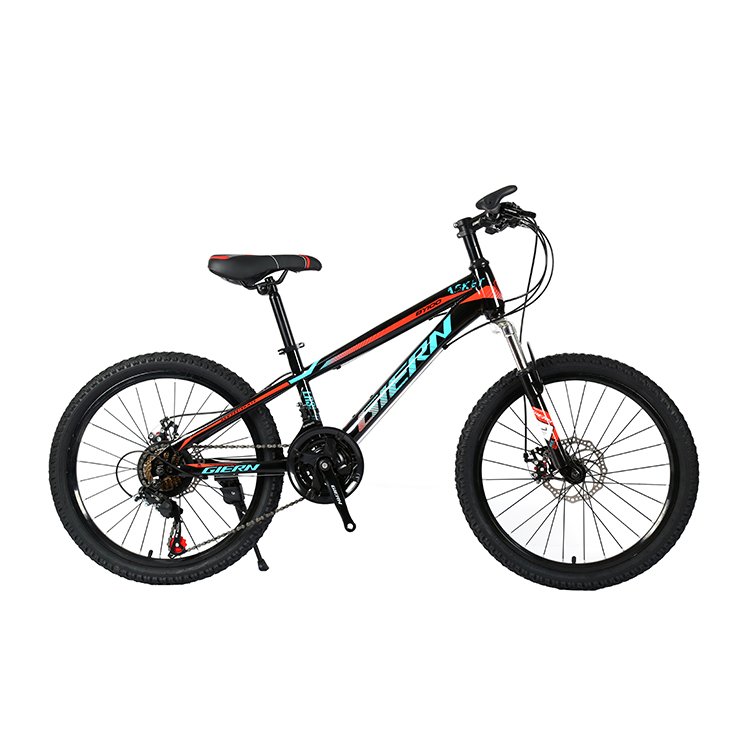 hot sale 20 inch 21 speed mountain bicycle sports road bike fat tyre cycle mountain bikes for men