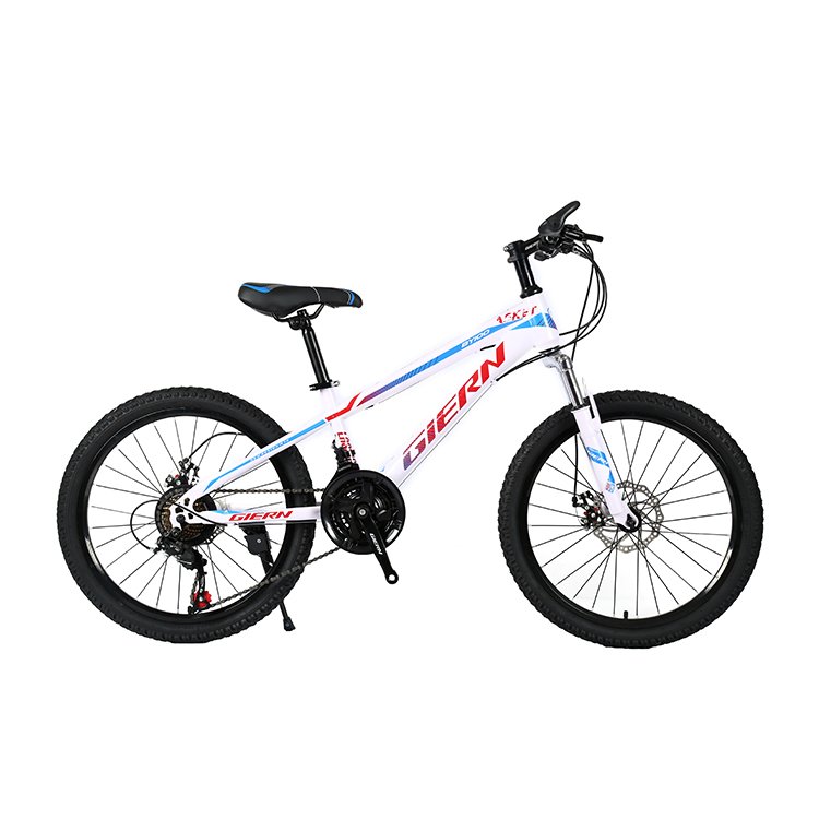 hot sale 20 inch 21 speed mountain bicycle sports road bike fat tyre cycle mountain bikes for men