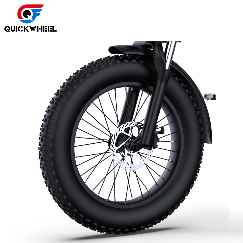 Quickwheel C9 48V 1000 Watts Power Ebike 15Ah Lithium Battery E Bike Electric Mountain Bike 20 Inch Fat Tire Electric Dirt Bike