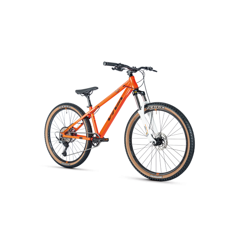 High Quality VIVA Flying Bear Professional Hard Frame Mountain Bike 10 Speed 26 Inch For Man And Women
