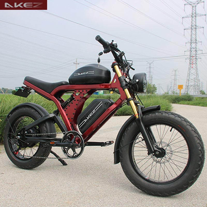 Hot Selling 20-Inch 1500W 48V 41AH Ebike Full Suspension Fat Tire Electric Mountain Bike for Adults