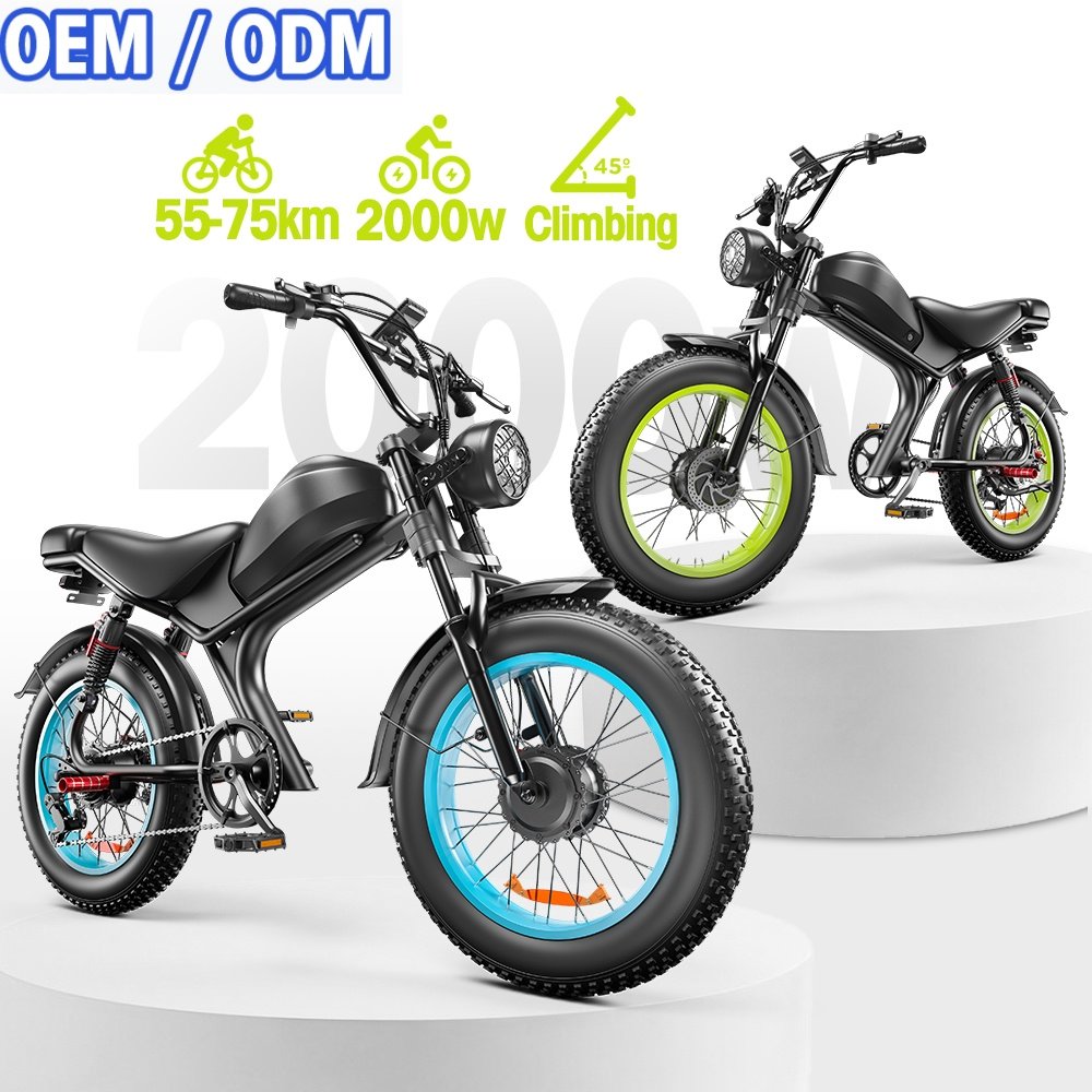 UK EU USA Warehouse Electric Bikes 2 Seats Full Suspension 1000W Chopper Ebike 20*4inch Motorcycle Fat Tire