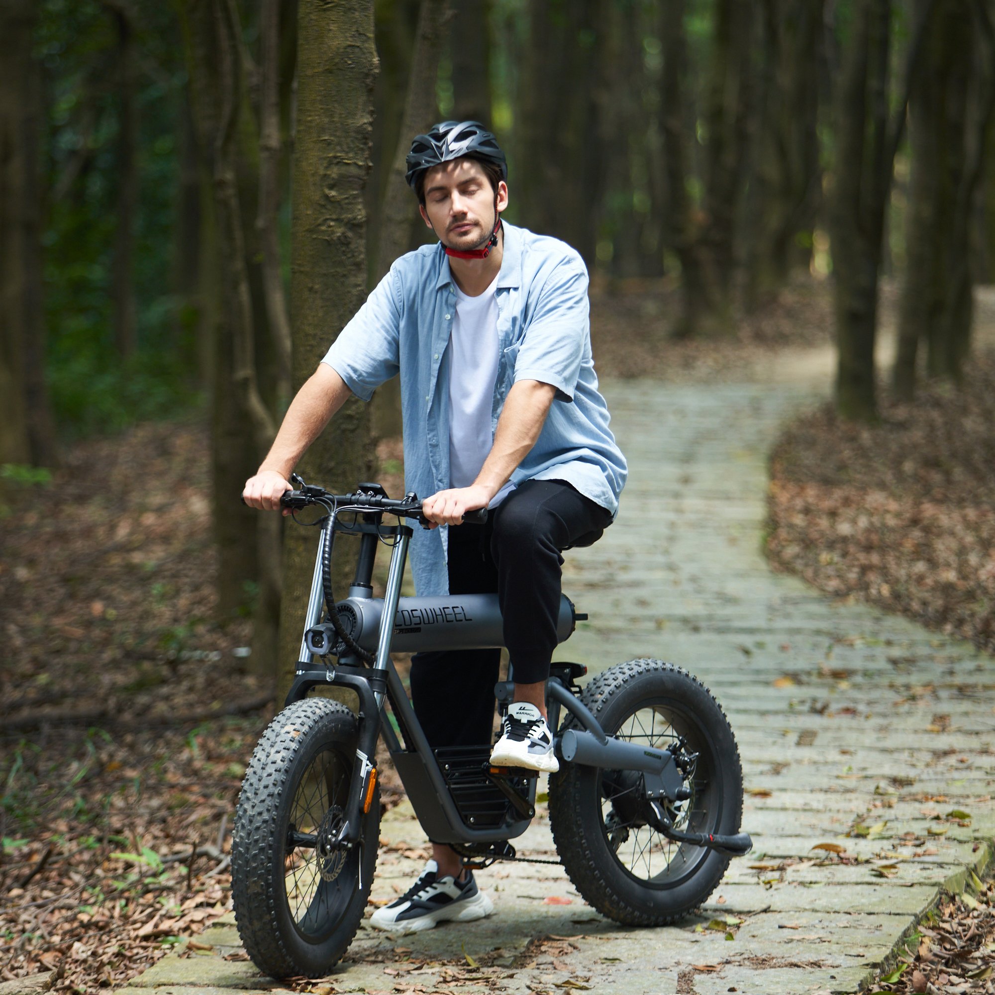 Popular Big Wheels 20'' Fat Tire E Bike Fashion Electric Bicycle T20 Mountain Bike