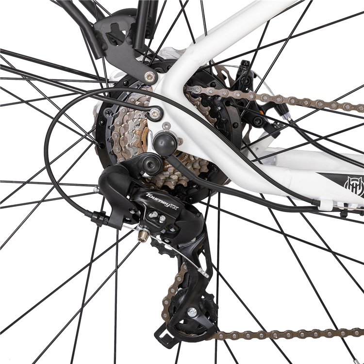 JOYKIE aluminum alloy bicicleta electrica 250w 36v rear hub motor 700c step through electric city bike