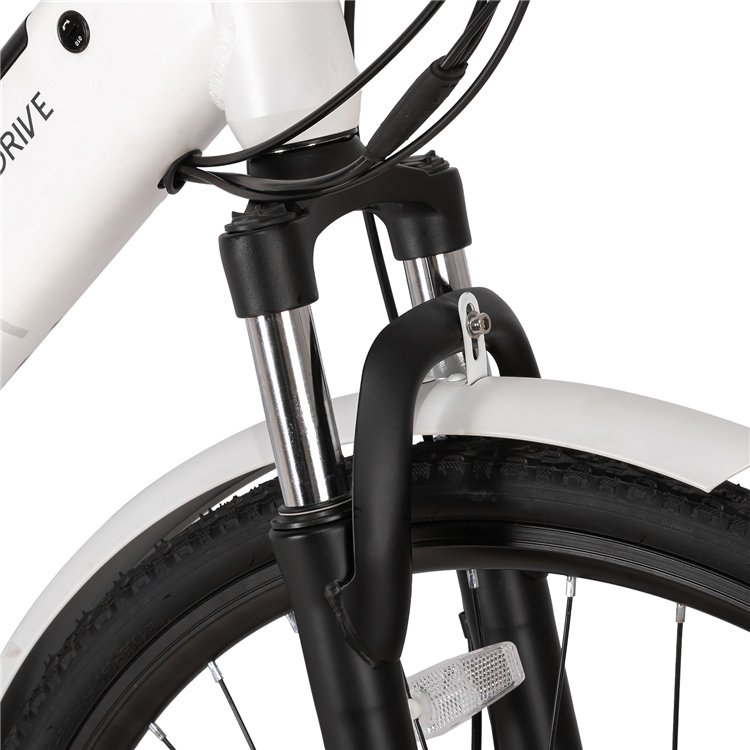 JOYKIE aluminum alloy bicicleta electrica 250w 36v rear hub motor 700c step through electric city bike