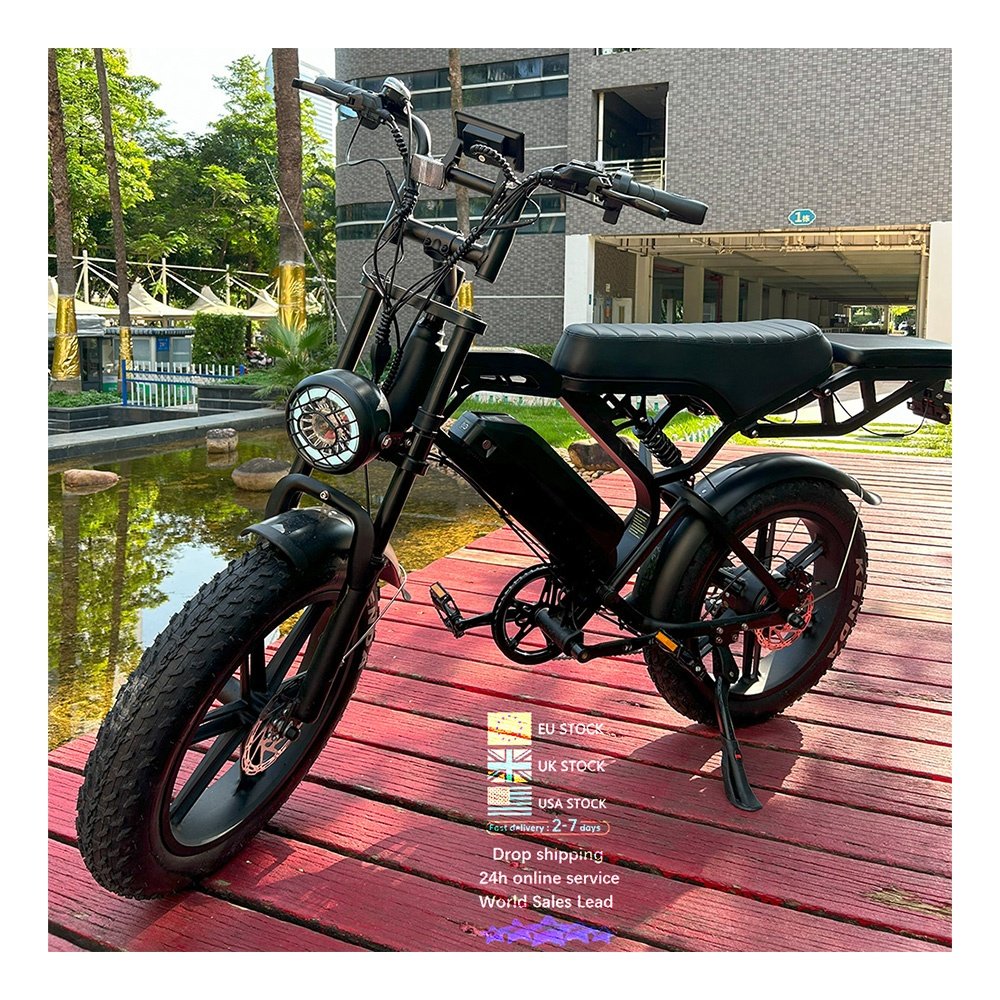 V20 Pro fatbike 20*4 inch 2 seat E bike EU warehouse electric mountain bike off road bicycle electric bicycle ebike