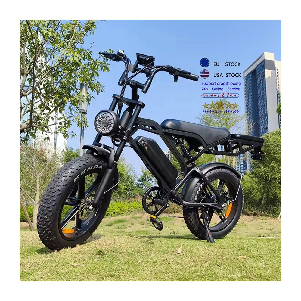 V20 Pro fatbike 20*4 inch 2 seat E bike EU warehouse electric mountain bike off road bicycle electric bicycle ebike