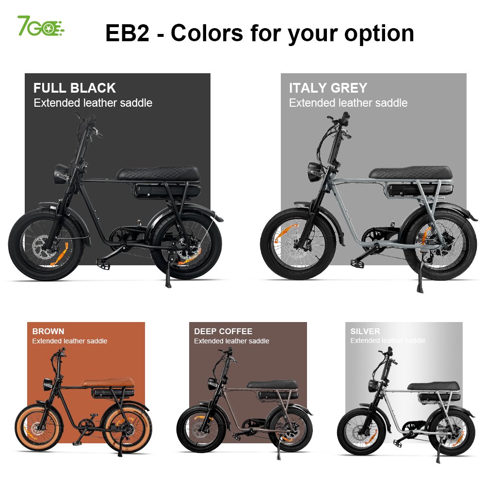 7GO EB2 1000W Hybrid Bike 20inch 48V Electric Mountain Bicycle Off Road Electric City Bike V8 Fat bike 250W Ebike