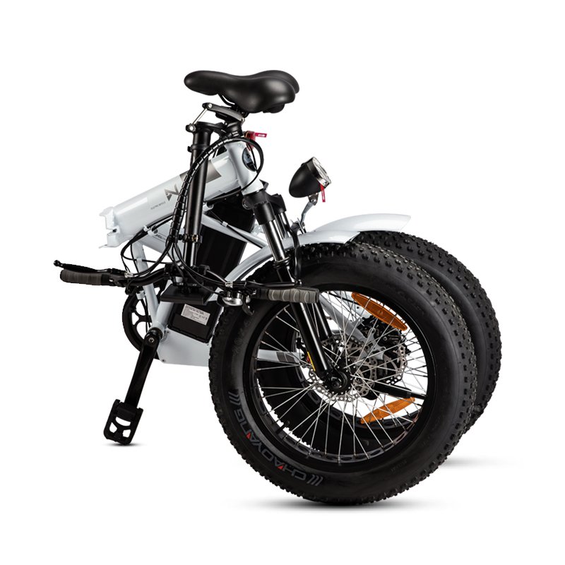 2022 Folding electric bicycle ,fat tire electric bike ,electric mountain bike step thru LN20M04 With quick delivery