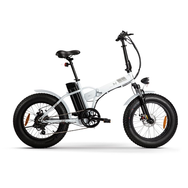 2022 Folding electric bicycle ,fat tire electric bike ,electric mountain bike step thru LN20M04 With quick delivery