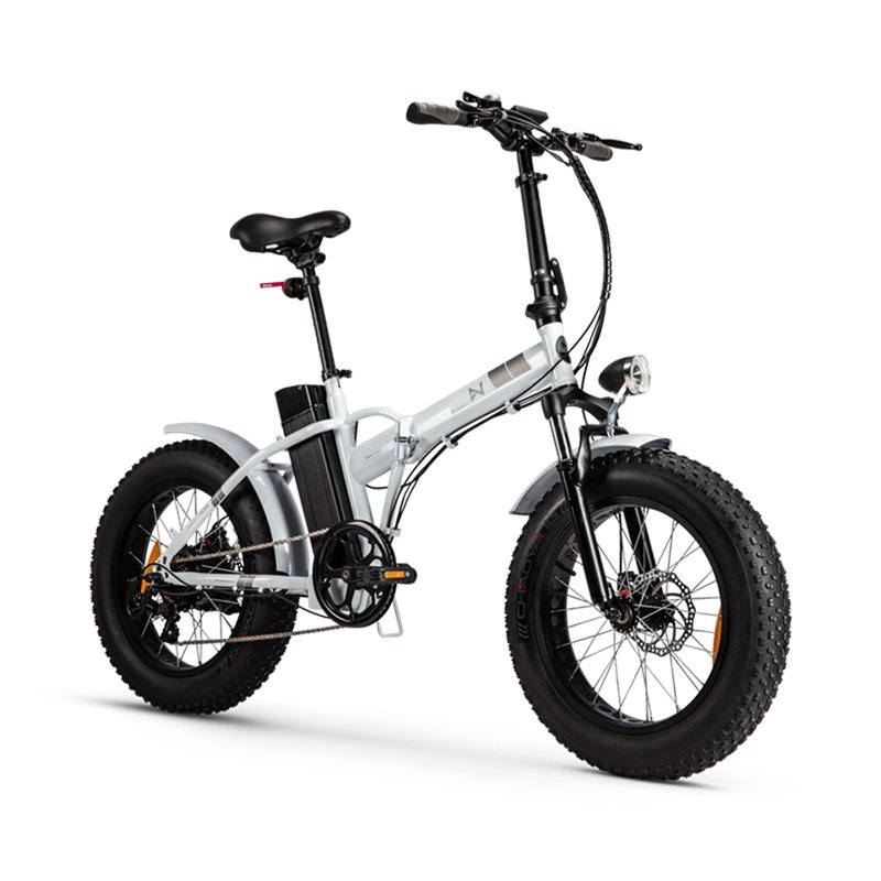 2022 Folding electric bicycle ,fat tire electric bike ,electric mountain bike step thru LN20M04 With quick delivery