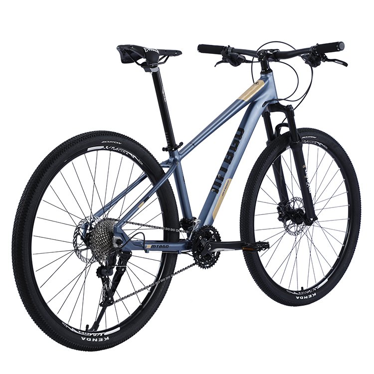 China cheap outdoor 29 inch 12 speed putty treatment aluminium frame mountain cycles mountain bike for adults