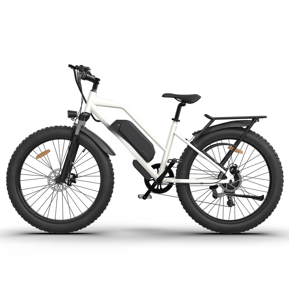 Dual Disc Brake Dirt Road MTB 750 Watts 48V Step Through E Mountain Bike 26 Inch Wheel Fat Tire Electric Bike