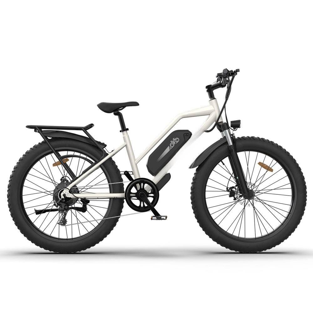 Dual Disc Brake Dirt Road MTB 750 Watts 48V Step Through E Mountain Bike 26 Inch Wheel Fat Tire Electric Bike
