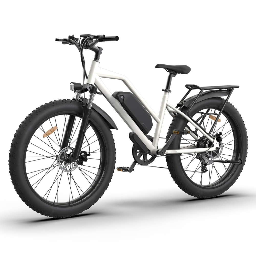 Dual Disc Brake Dirt Road MTB 750 Watts 48V Step Through E Mountain Bike 26 Inch Wheel Fat Tire Electric Bike