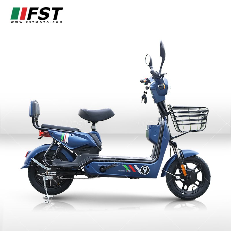 Factory Drop shipping Dual Motor Cargo Bike E Battery Vietnam Bicycle With Pedal Electric Scooter