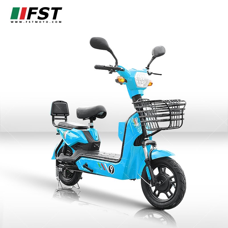 Factory Drop shipping Dual Motor Cargo Bike E Battery Vietnam Bicycle With Pedal Electric Scooter