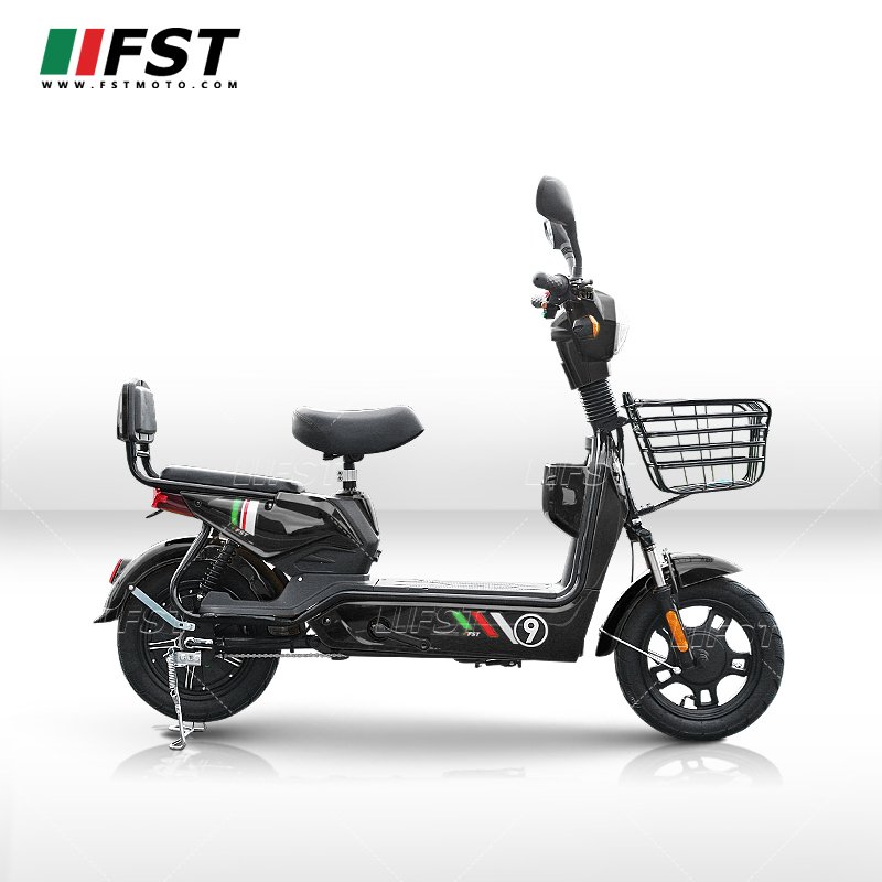 Factory Drop shipping Dual Motor Cargo Bike E Battery Vietnam Bicycle With Pedal Electric Scooter