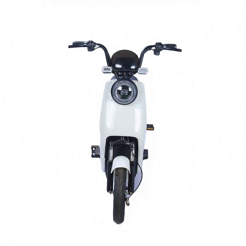 Removable Lead Acid Battery Ebike Electric City Bike Bicycle for Lowrider Step Through Frame