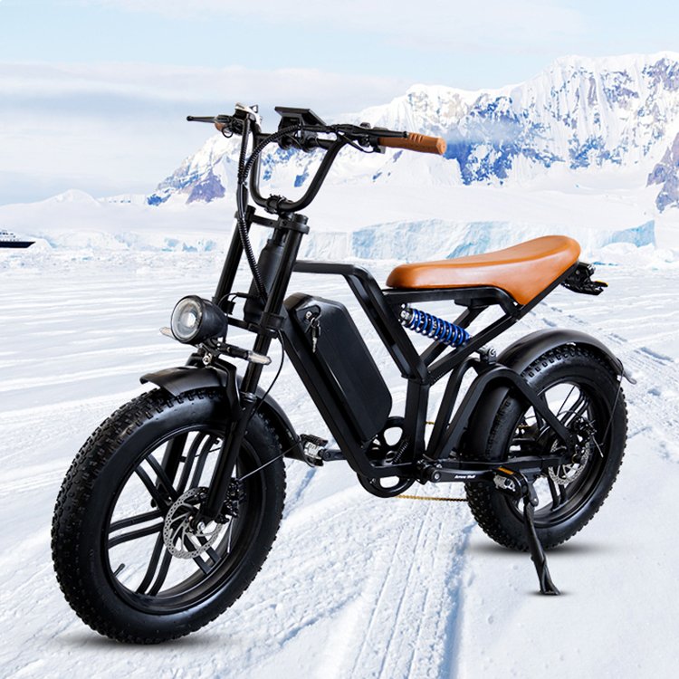 bicycle 750 watt usa 750w pit eu warehouse sur ron enduro ebike dirt electric mountain bike