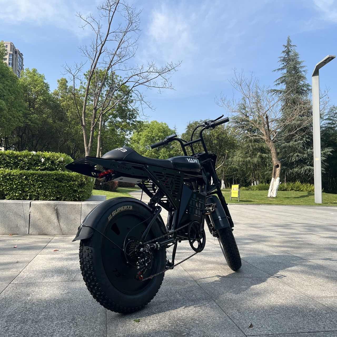 Electric city recreational bikes 20 inch tires 400-1500W 1000W OEM dirt ebike 48V lithium, 13A, 18A, 26A, 36A electric city bike
