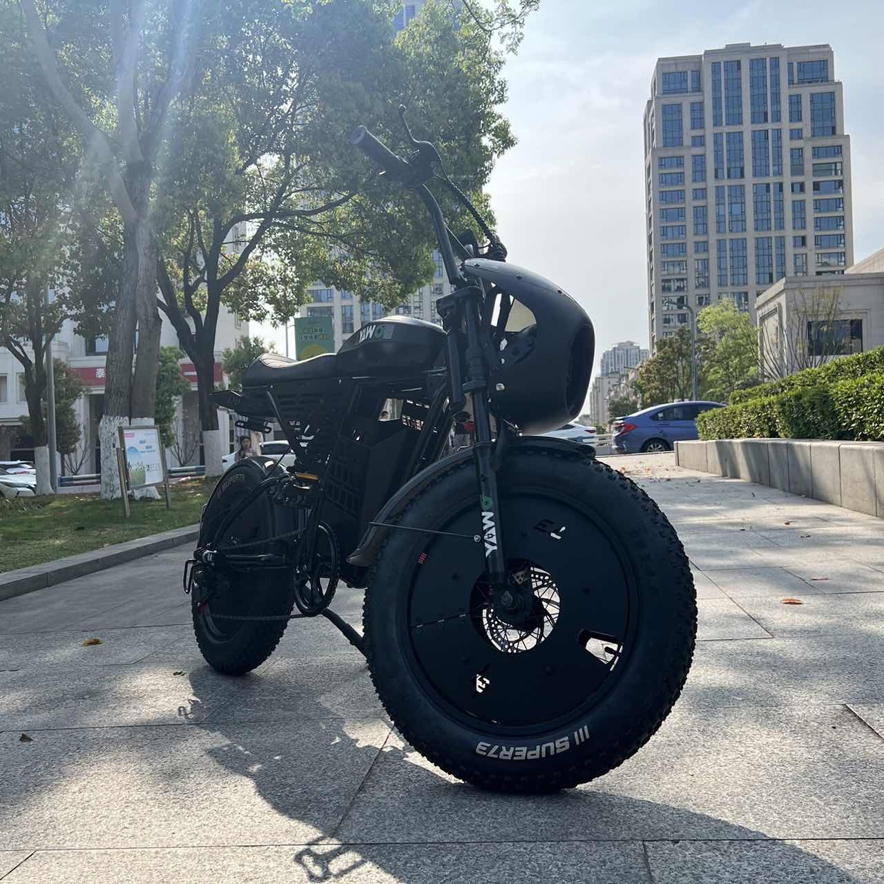 Electric city recreational bikes 20 inch tires 400-1500W 1000W OEM dirt ebike 48V lithium, 13A, 18A, 26A, 36A electric city bike